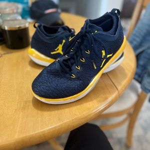 Jordan Michigan Football Shoes